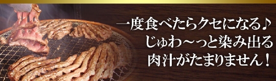 亀山社中 焼肉ボリュームセット 5.5kg