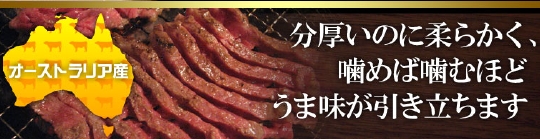 亀山社中 焼肉ボリュームセット 2.3kg